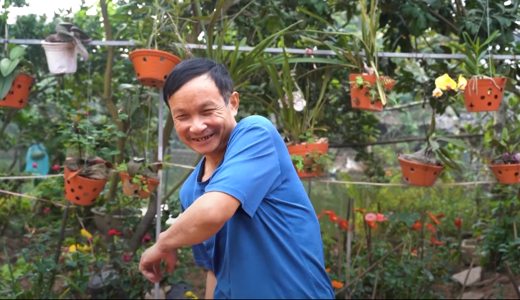 Uống nước lá tía tô đúng cách để không hại bàng quang