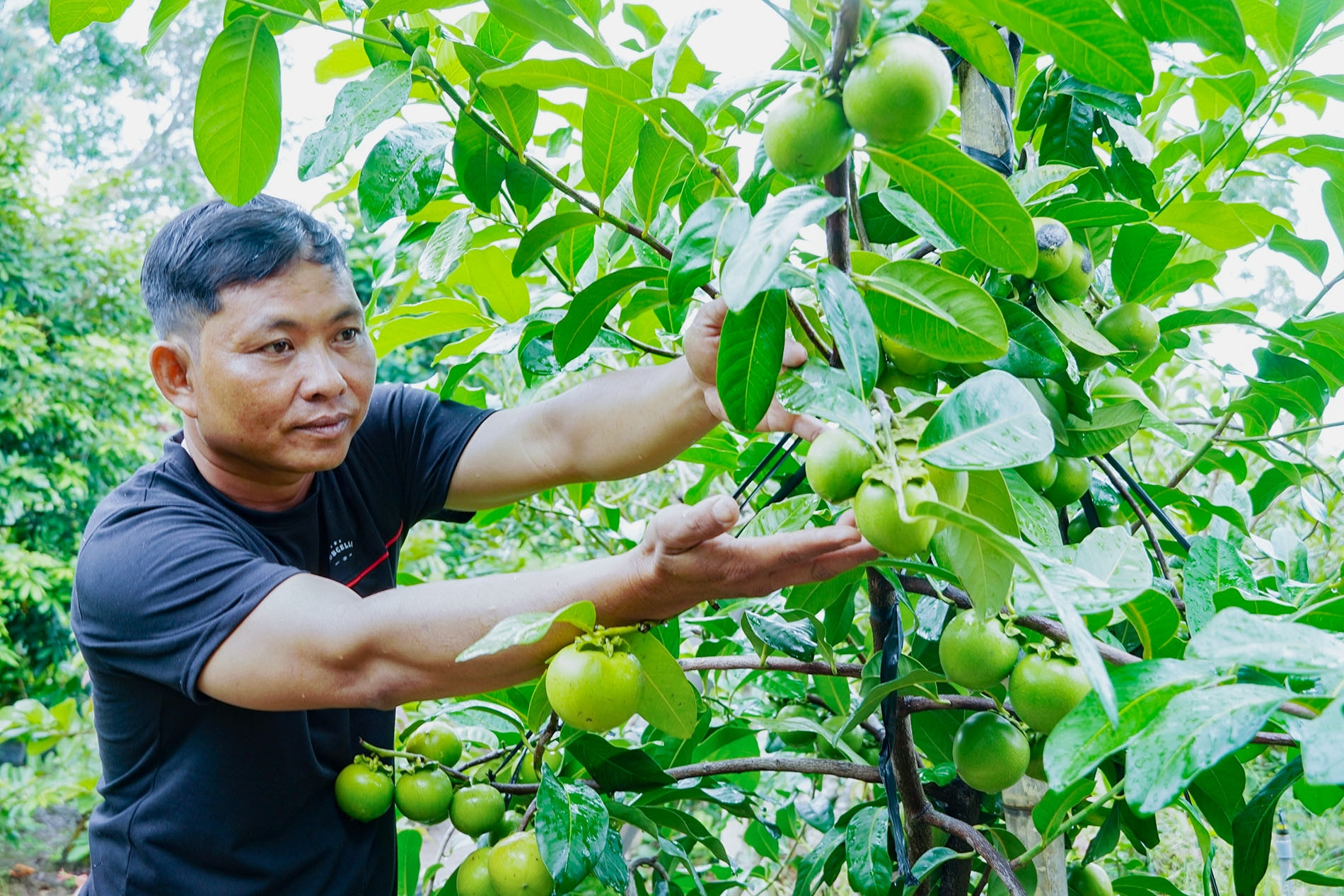 Từ nhà cũ giữa rừng và kho hàng lạc hậu thành homestay hiện đại