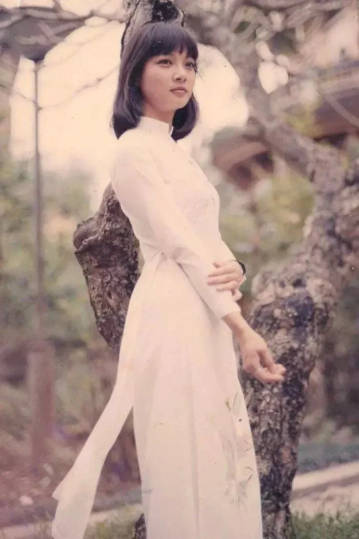 Bảo Yến, Thanh Lam, Hồng Nhung và một đêm Phú Quang còn mãi