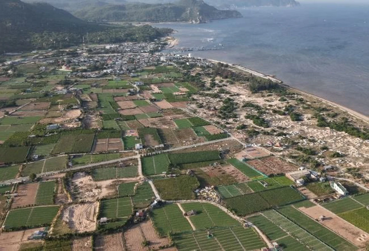 Dự án điện hạt nhân Ninh Thuận và bài toán bồi thường 100% đất lấn chiếm
