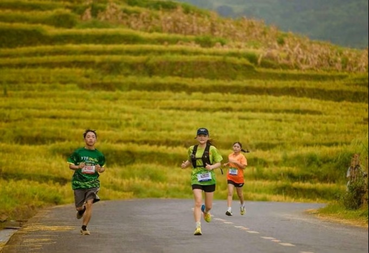 Y Tý mùa vàng Marathon: bước chân giữa sóng lúa mở đường cho trail running