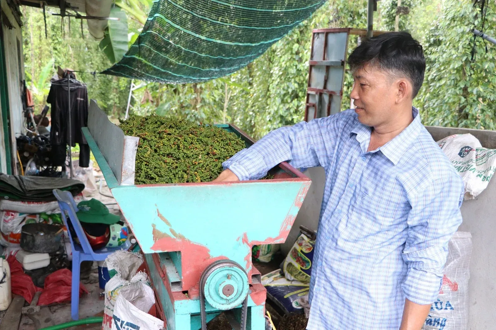 Hạt tiêu Việt Nam áp đảo thị trường Mỹ nhờ chiến lược giá trị