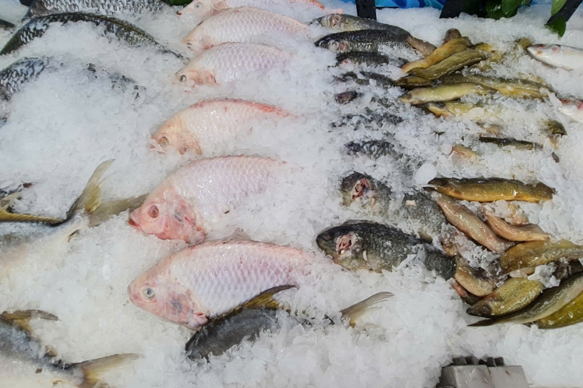 Thuế chống bán phá giá cá siết chặt, thủy sản Việt Nam buộc rẽ hướng sang châu Á