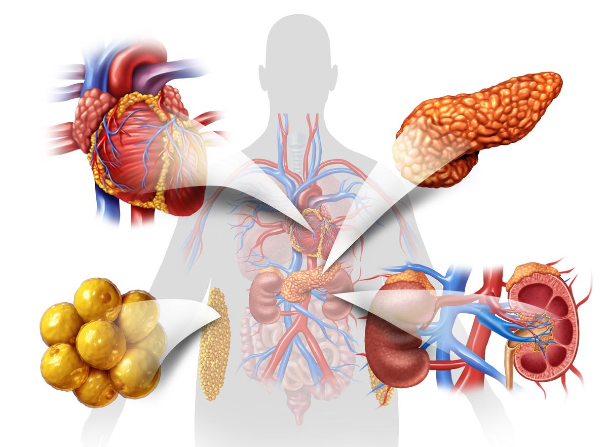 260 biến thể gene tim thận: Một cơ chế di truyền chung cho bệnh mãn tính