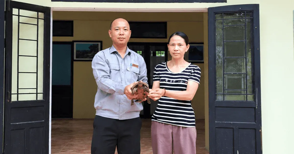 Thả rùa răng và rùa núi vàng: Bước ngoặt cho bảo tồn