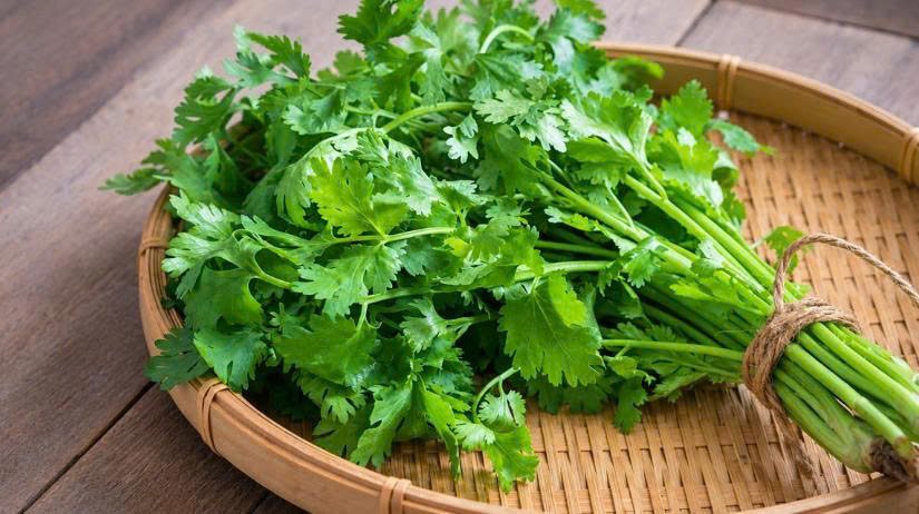 Rau mùi không chỉ là gia vị: Cách dùng để hỗ trợ tiêu hóa và giấc ngủ
