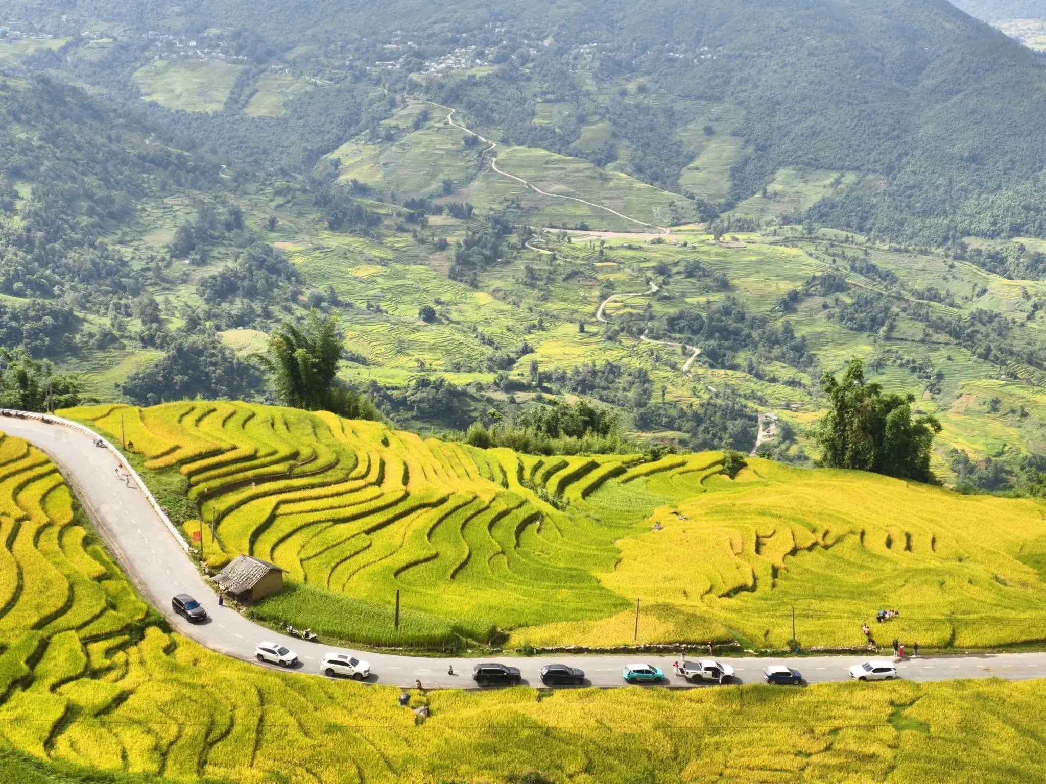 Y Tý Golden Season Marathon: chạy qua mùa vàng trên ruộng bậc thang