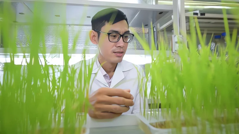 Công nghệ chỉnh sửa gen: cơ hội vàng cho nông nghiệp tự chủ