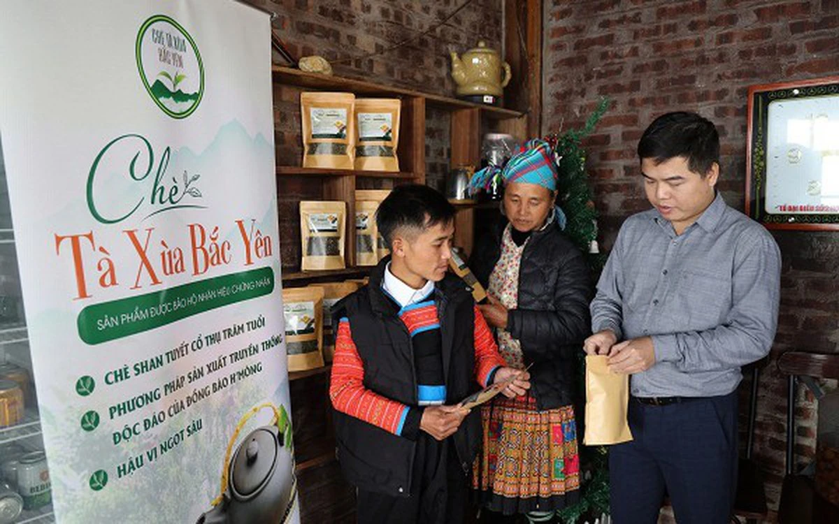Từ đặc sản địa phương đến hành trình trải nghiệm du lịch