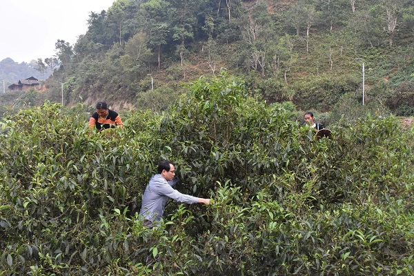 Từ đặc sản địa phương đến hành trình trải nghiệm du lịch