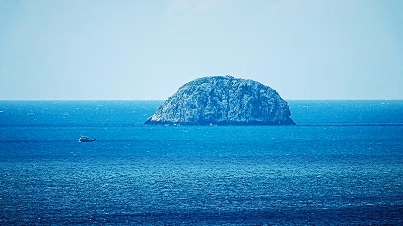 Mùa rùa đẻ trứng ở Côn Đảo: Hướng dẫn hoàn chỉnh cho du khách