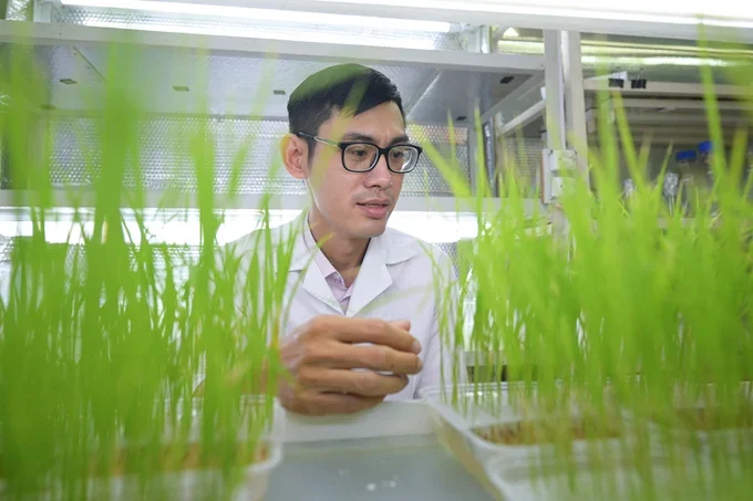 Công nghệ chỉnh sửa gen: cơ hội vàng cho nông nghiệp tự chủ
