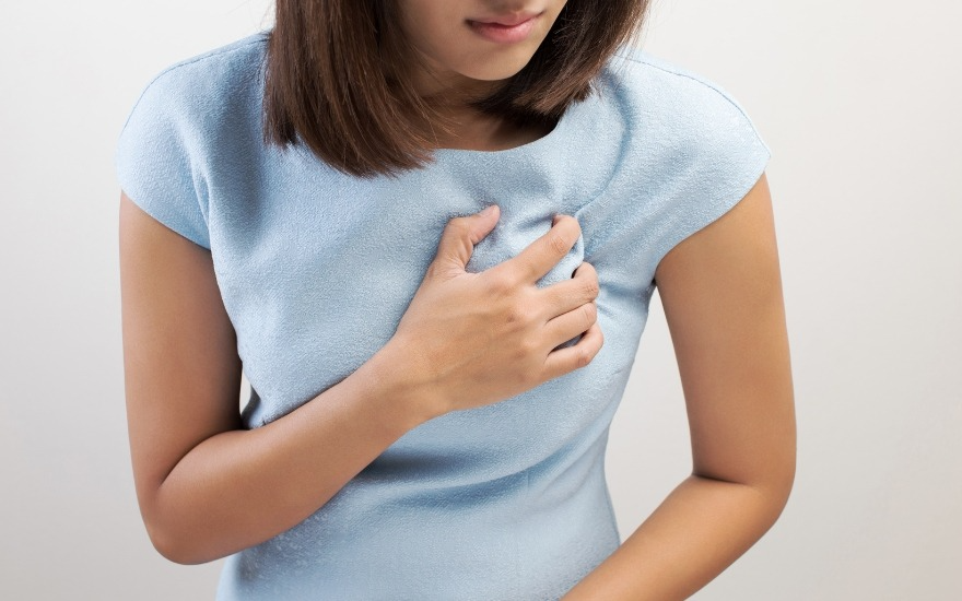 Quả mận rẻ bèo: ứng viên số 1 bảo vệ tim mạch và kéo dài tuổi thọ