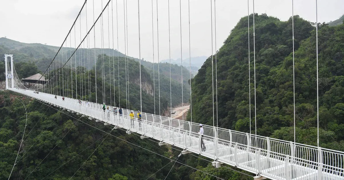Cầu dây văng siêu khủng: Từ kỷ lục thế giới đến mạng lưới kết nối vùng