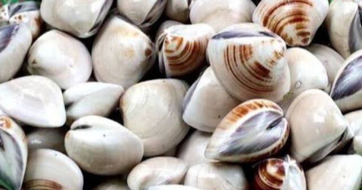 Cách chọn tôm và ngao tươi ngon tại chợ: Mua sao cho đáng tiền