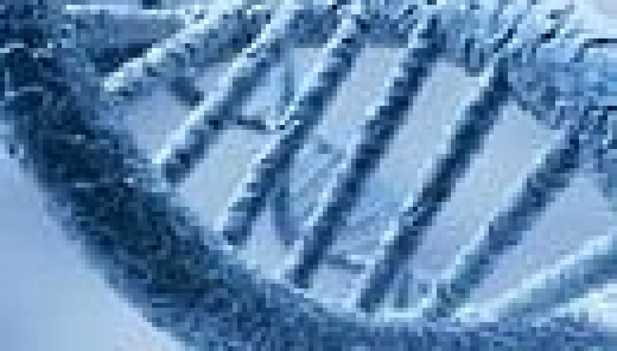 AlphaGenome Atlas: bản đồ 9 tỷ biến thể gen do AI kiến tạo