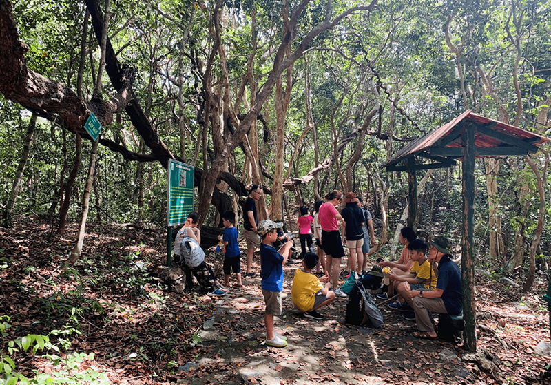 Côn Đảo cân bằng giữa du lịch sinh thái và bảo tồn rùa biển