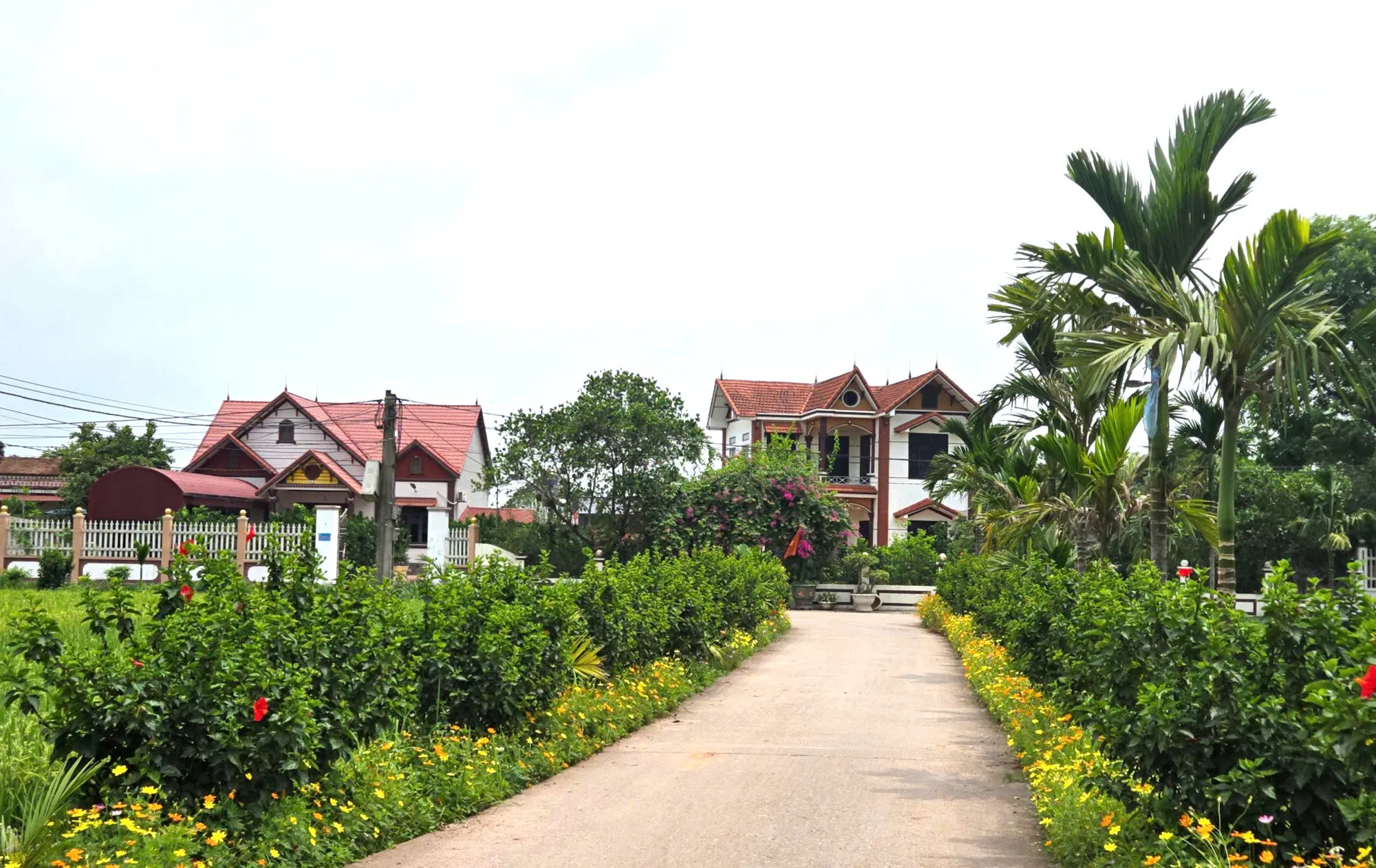 Thái Nguyên với chiến lược OCOP: Nâng tầm nông thôn, tăng sức cạnh tranh