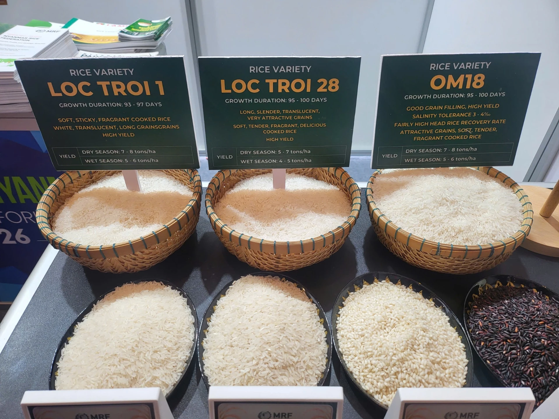 Việt Nam - Myanmar ưu tiên hợp tác nông nghiệp công nghệ cao nào?