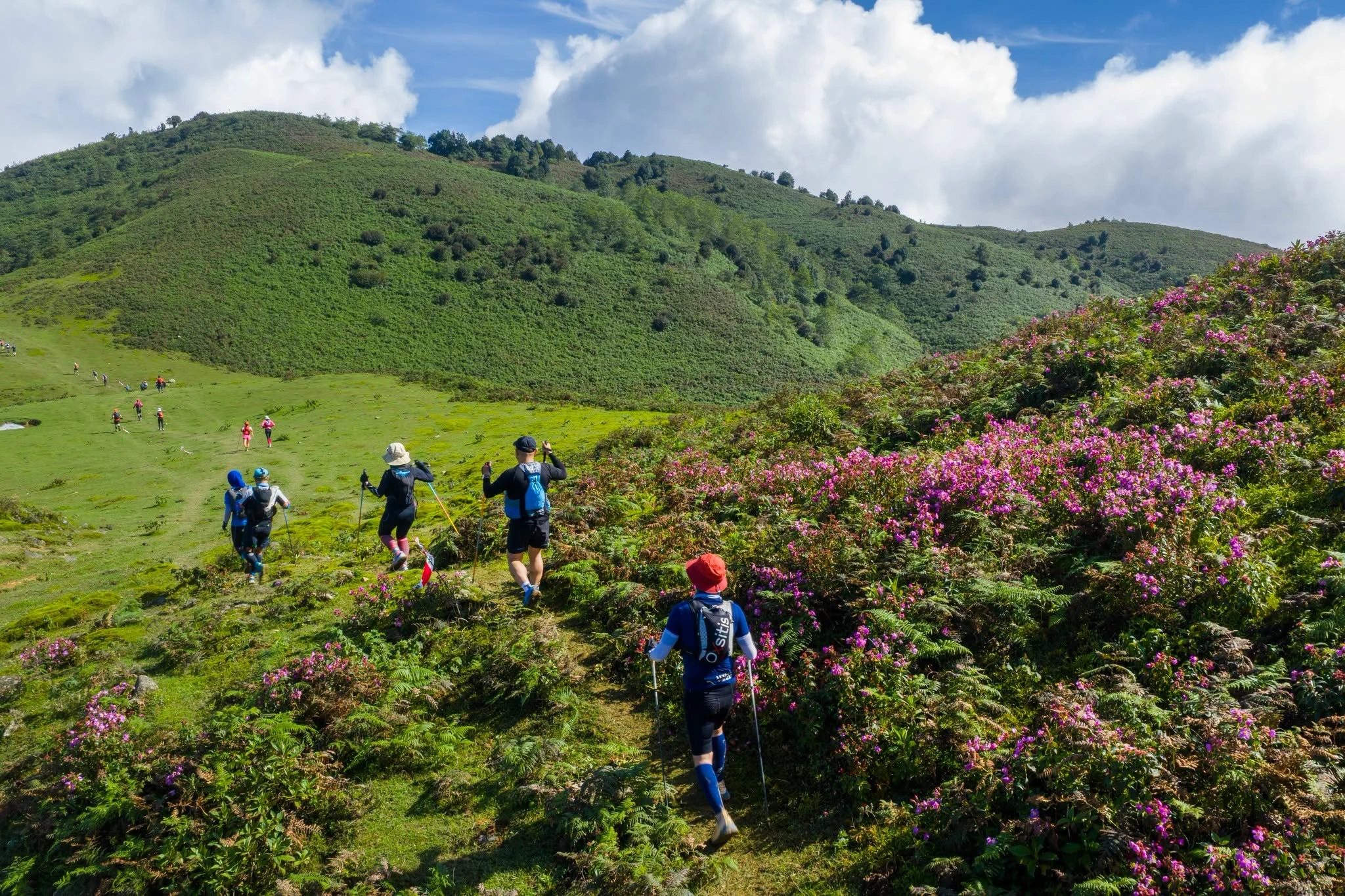 Vietnam Mountain Marathon: Khi Sa Pa trở thành thủ đô trail chạy châu Á