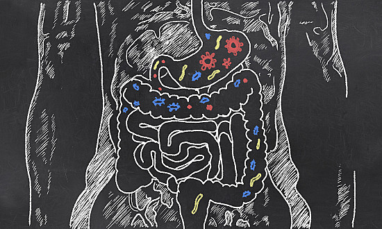 Makanan Fermentasi dan Probiotik Semula Jadi untuk Kesihatan Usus
