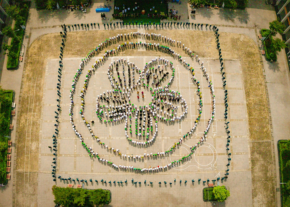 Festival Trà Shan tuyết và Festival Trà Quốc tế: Hai điểm hẹn của du lịch trà