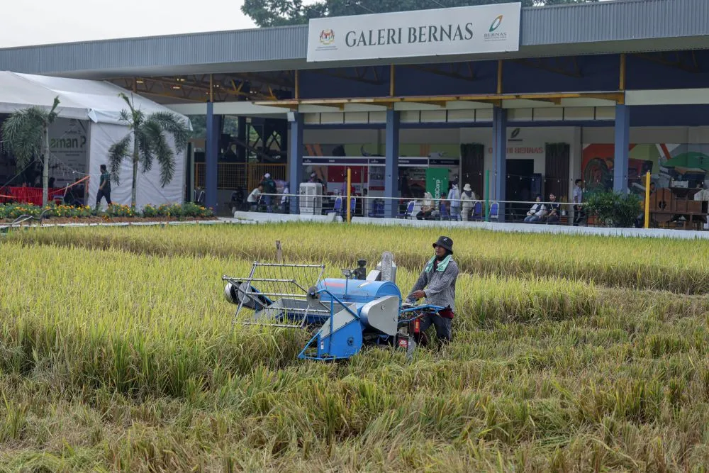Pengimbas Tanah AI Ubah Cara Petani Membuat Keputusan