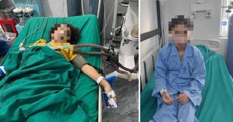 Tự pha nước lá rừng từ nguyên liệu thực vật: hiểm họa bị đánh giá thấp