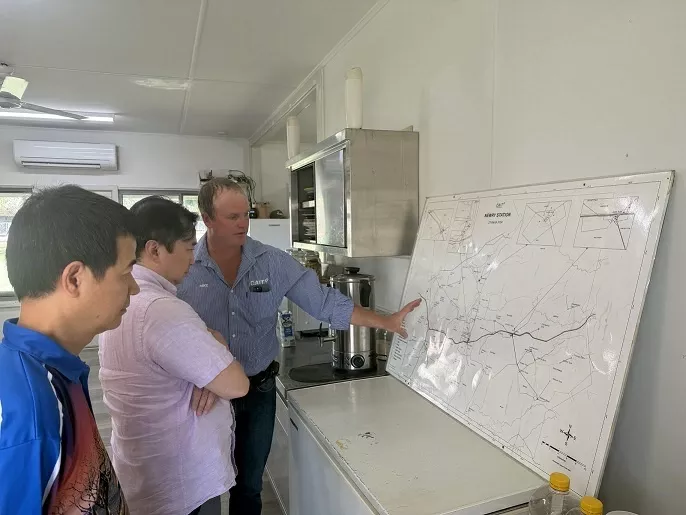 Trang trại Newry: Bước nhảy táo bạo của Tập đoàn TH tại Bắc Australia