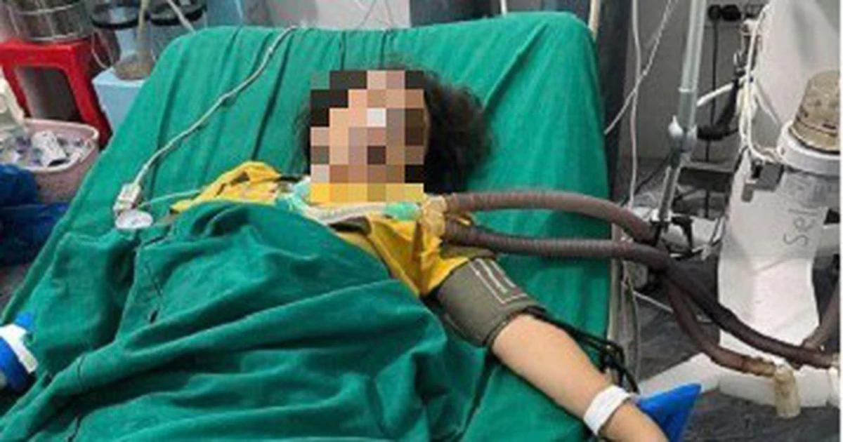 Tự pha nước lá rừng từ nguyên liệu thực vật: hiểm họa bị đánh giá thấp