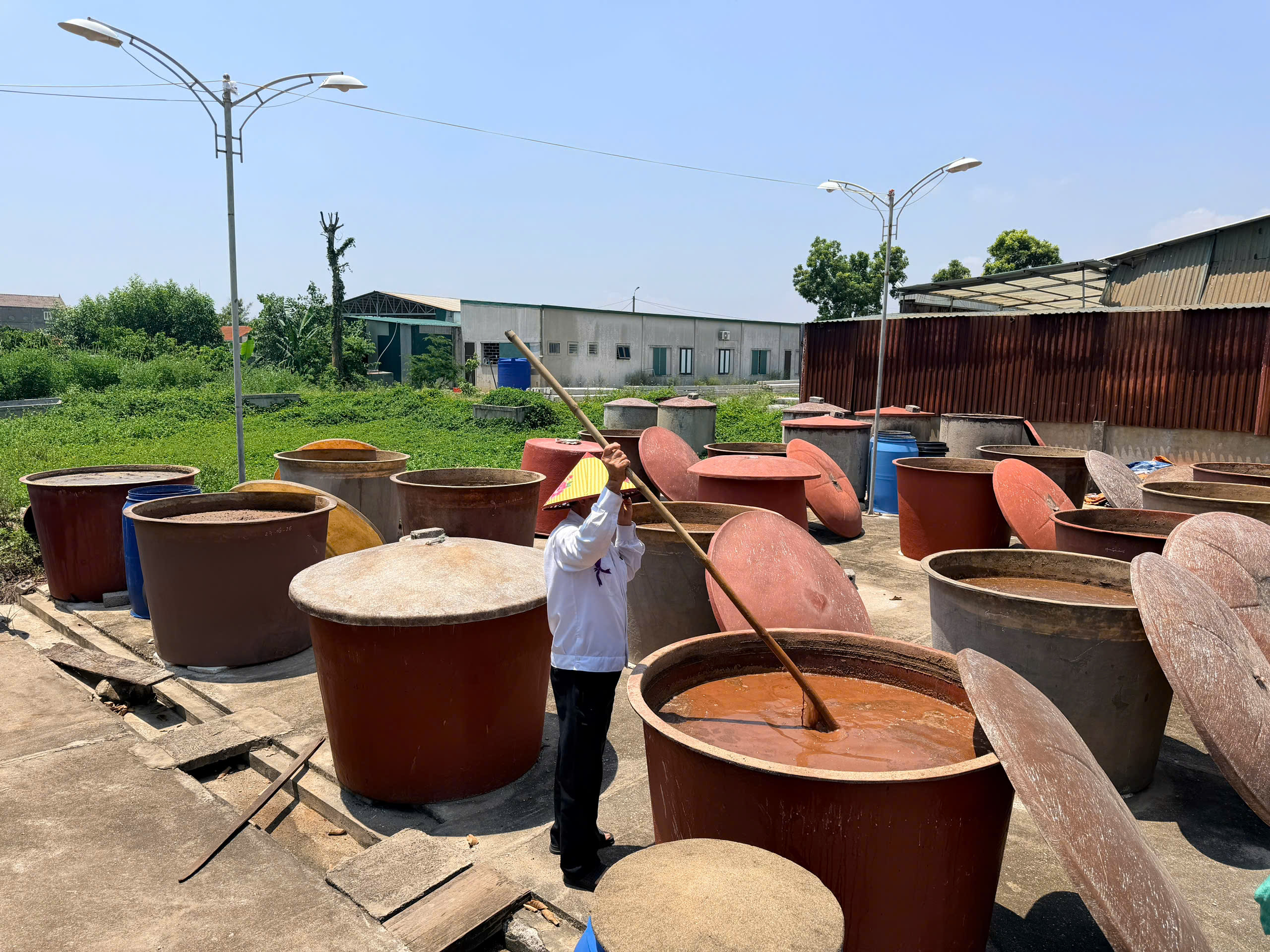 Nước mắm Phú Quốc: Từ giọt mắm nhà thùng đến tiêu chuẩn ẩm thực