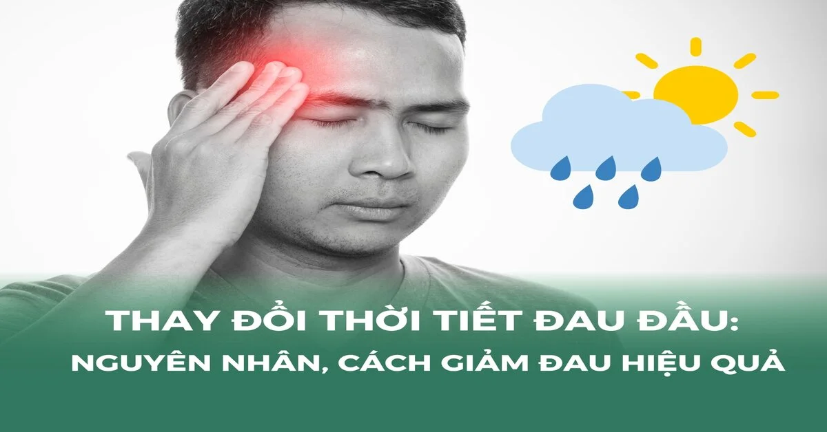 Giao mùa dễ đau đầu và mệt mỏi: dưỡng sinh và 5 thực phẩm nên ưu tiên