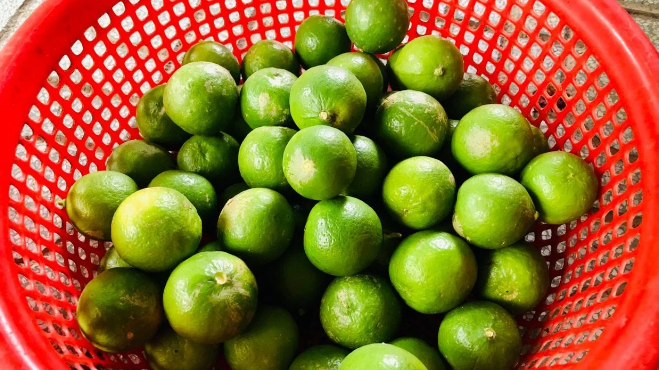 Cách chọn măng cụt, chuối, ớt, chanh và cà chua tươi ngon lâu