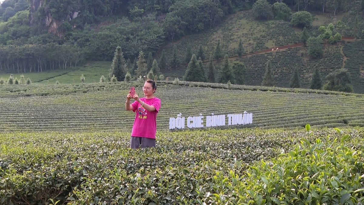 Nông dân học kỹ năng số để bán nông sản trực tuyến