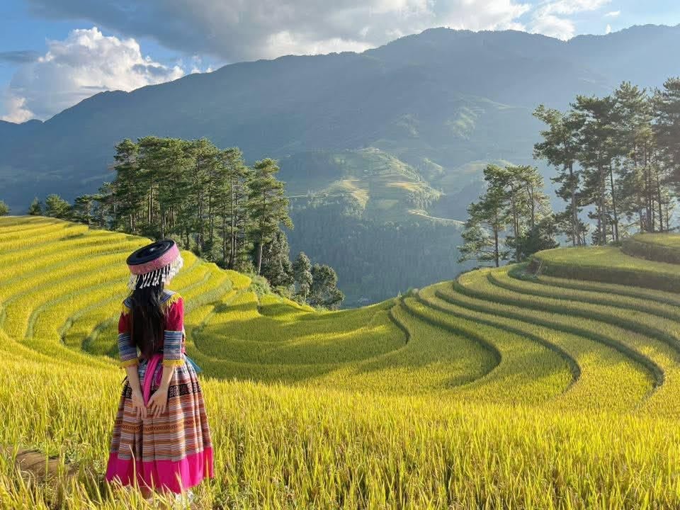 Săn ánh sáng vàng trên ruộng bậc thang Mù Cang Chải