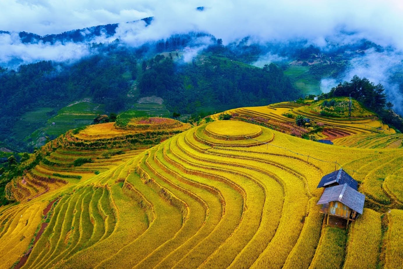 Bắt ánh sáng vàng trên ruộng bậc thang Sa Pa và Mù Cang Chải