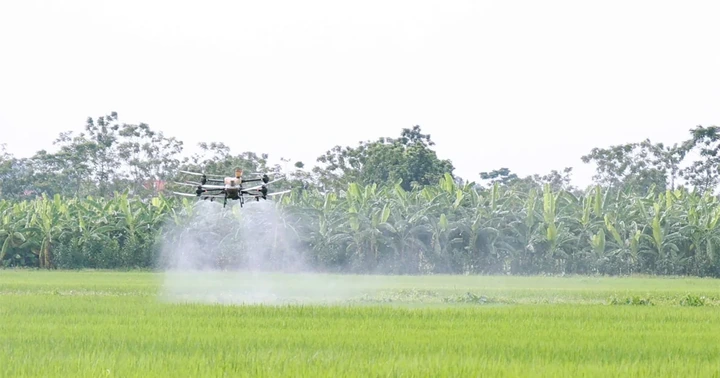 Drone tự động hóa nông trại Việt Nam: Bước ngoặt chuyển đổi số