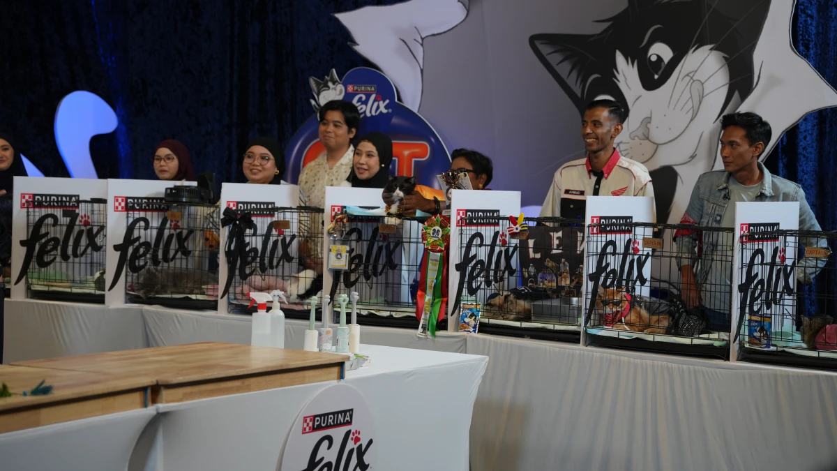 20 Kucing Bersaing Untuk Mahkota: Drama Manja Separuh Akhir Cat Fashion Week
