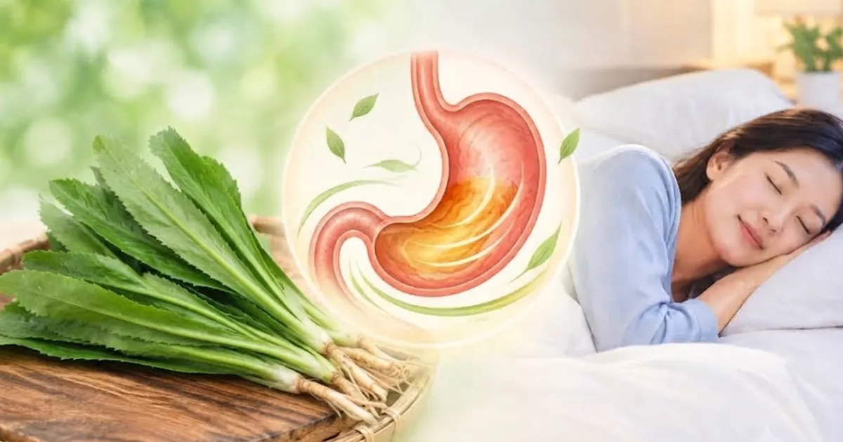 Rau mùi không chỉ là gia vị: Cách dùng để hỗ trợ tiêu hóa và giấc ngủ