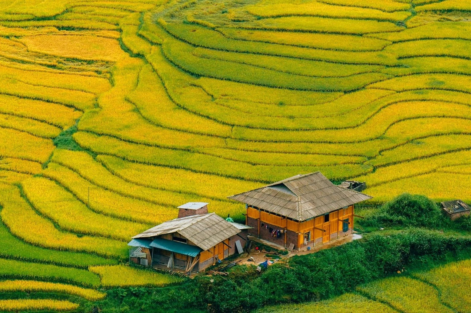 Tháng 9 miền Bắc: mùa vàng đẹp nhất cho ống kính