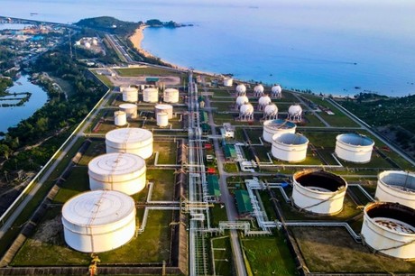 Quảng Ngãi đặt mục tiêu tăng trưởng 10,5-11%: tham vọng hay bước ngoặt?