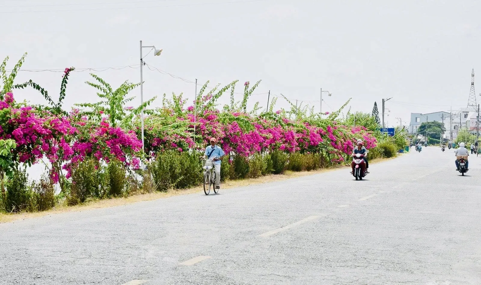 Phú Thọ và An Giang dẫn đầu cuộc cách mạng hạ tầng nông thôn