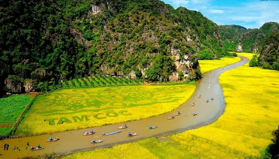 Tháng 9 miền Bắc: mùa vàng đẹp nhất cho ống kính