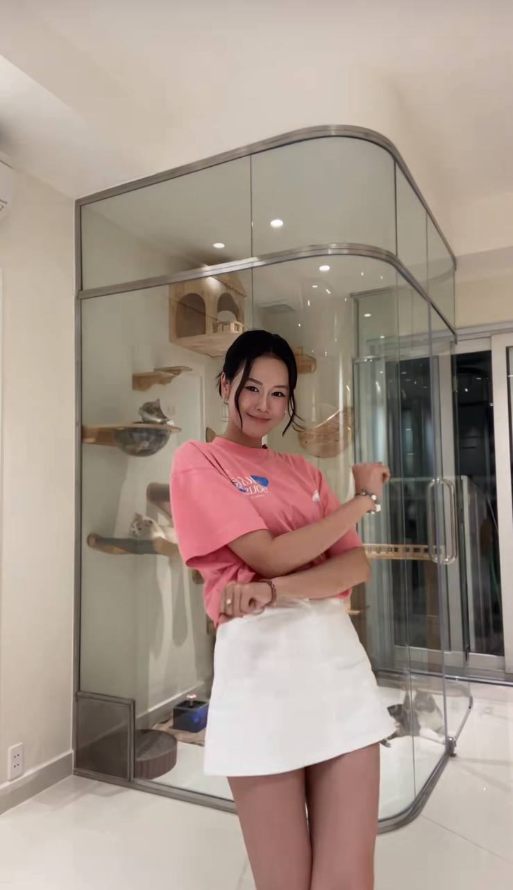Biệt thự kính cường lực cho mèo: Chuẩn sống mới của thú cưng nhà giàu
