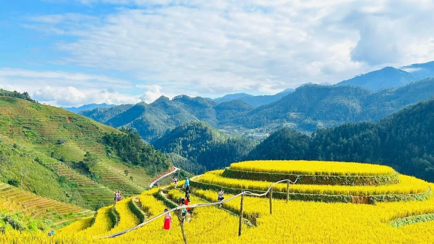 Bắt ánh sáng vàng trên ruộng bậc thang Sa Pa và Mù Cang Chải