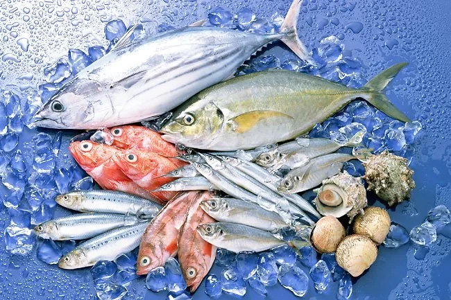 3 loại cá phổ biến chứa thủy ngân và kháng sinh cần hạn chế