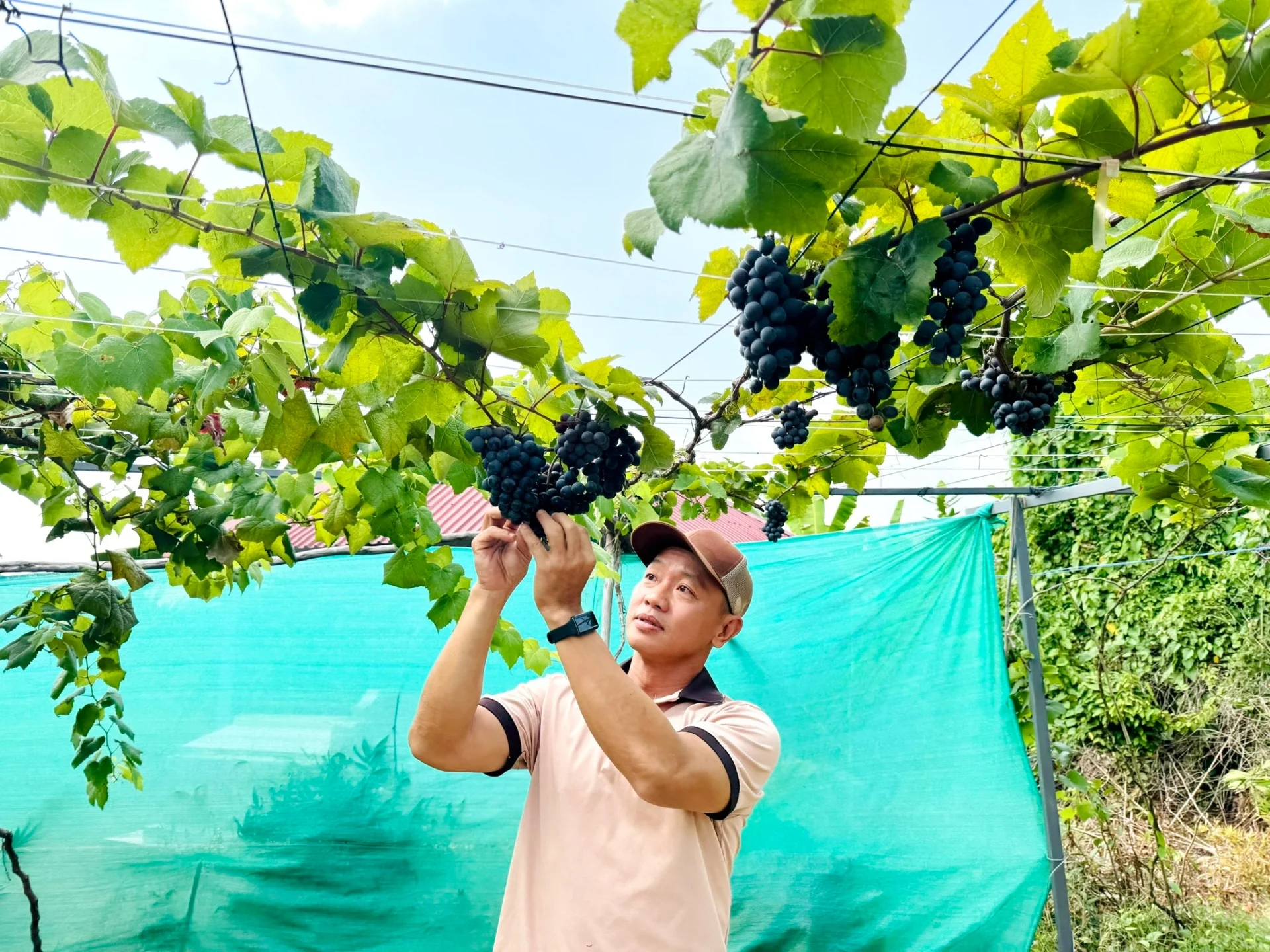 Phú Thọ và An Giang dẫn đầu cuộc cách mạng hạ tầng nông thôn