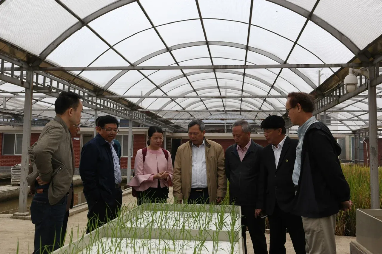 Công nghệ chỉnh sửa gen: Cơ hội vàng cho nông nghiệp Việt Nam hiện đại
