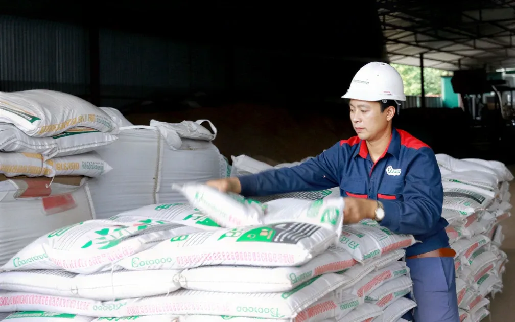 Xuất khẩu phân bón Việt Nam vượt mốc 1 tỷ USD: Cơ hội có đủ lớn để thành cú nhảy dài?