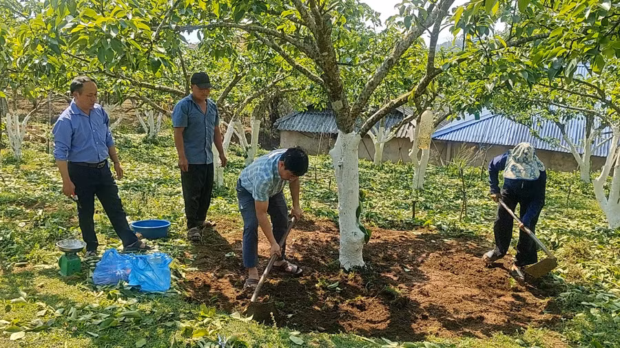 Các khóa đào tạo nghề linh hoạt ở vùng biên giới: Lối mở thoát nghèo cho lao động dân tộc thiểu số